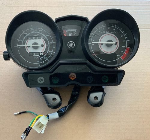 Brand new speedo - new, for